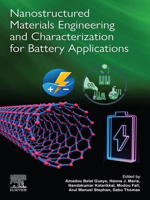 Title details for Nanostructured Materials Engineering and Characterization for Battery Applications by Amadou Belal Gueye - Wait list